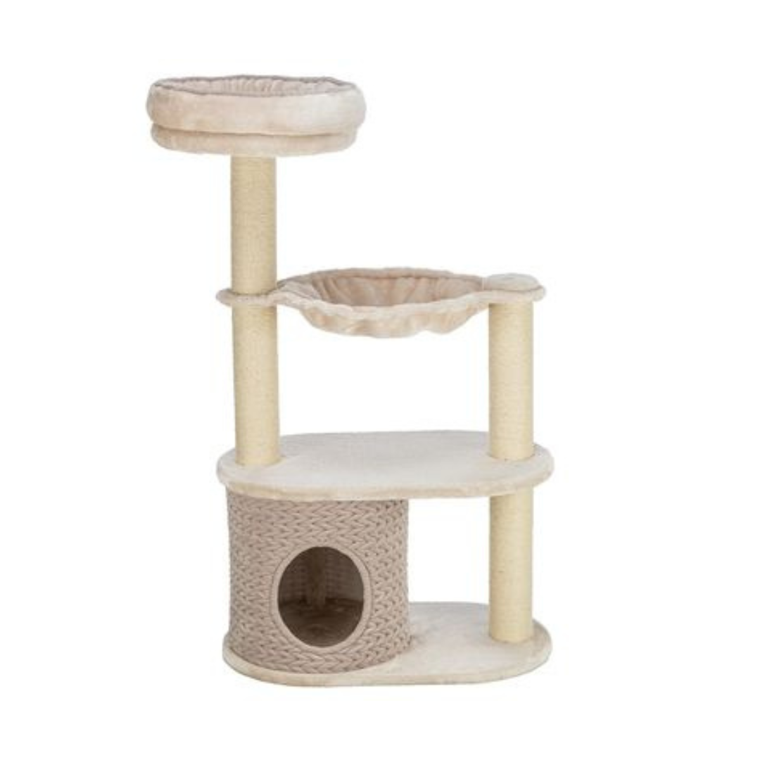 Neue Ausstattung Katzenräume (1)