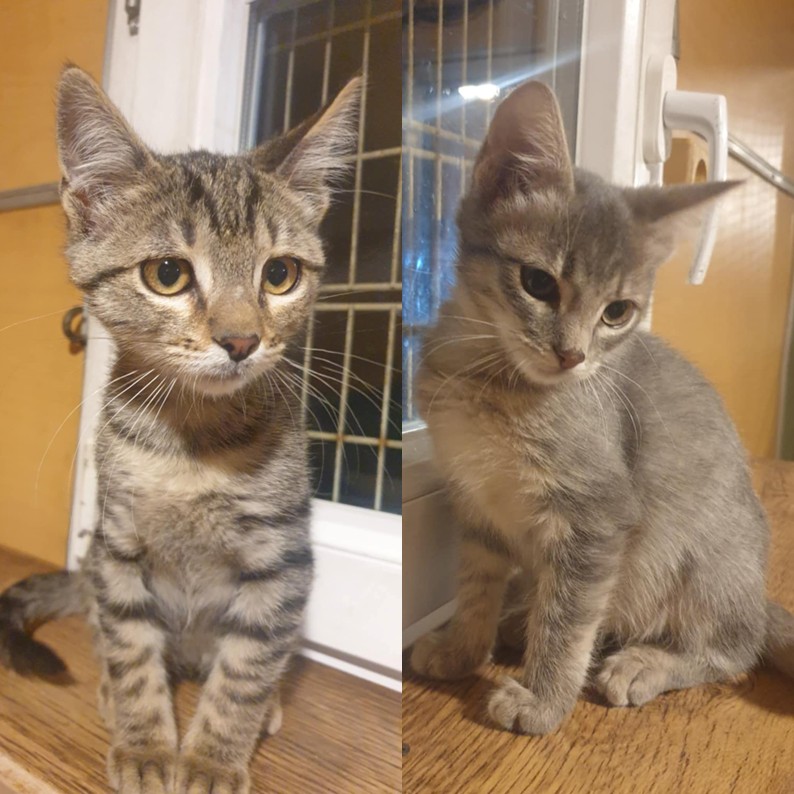 Aaron und Samuel neu