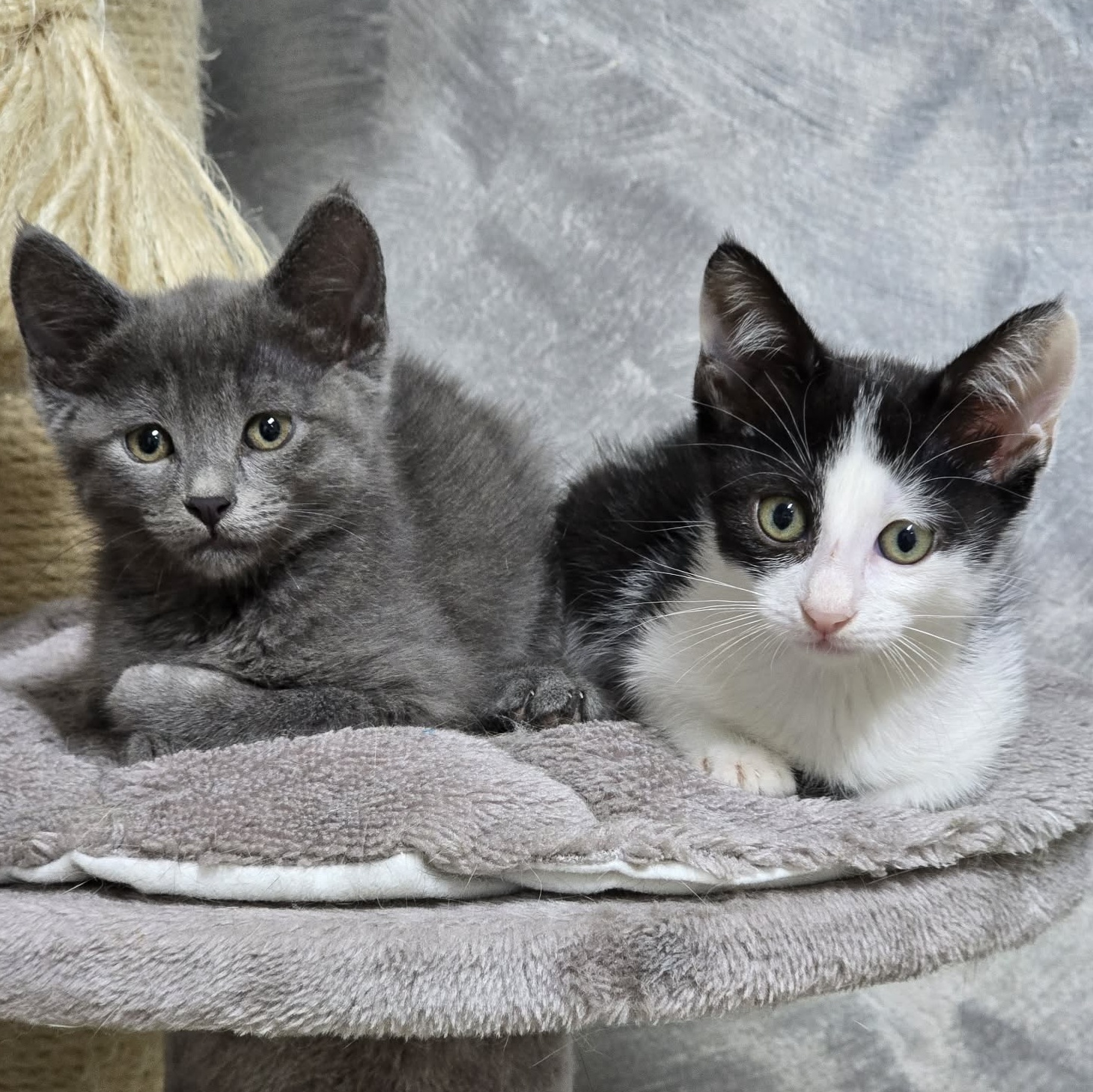 Gigi und Bella (2)