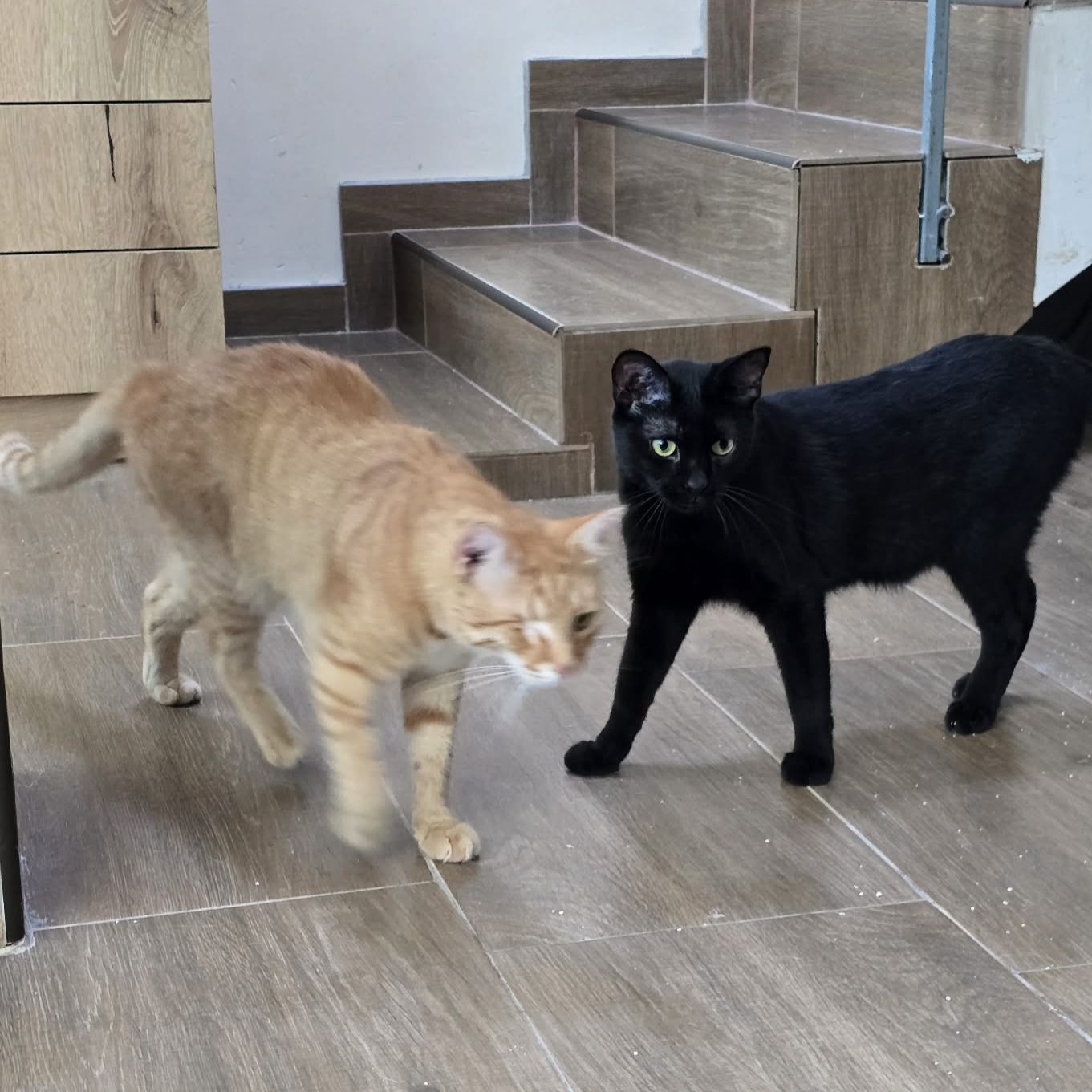 Josef und Emil