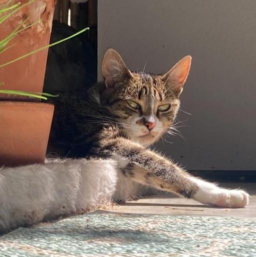 Rosalia PS (6)